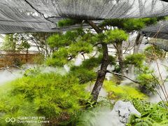 -上海植物园-4号门售票处
