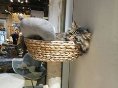 -小时光咖啡馆(开森度假森林店)