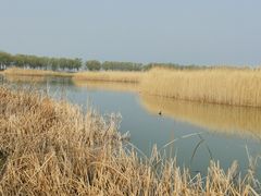 -野鸭湖国家湿地公园