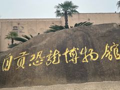 -自贡恐龙博物馆