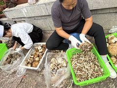 -菌自由丨野生菌火锅特色庭院餐厅(丽江古城店)