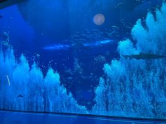 -南昌融创海世界