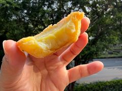 -清远三鸟海鲜农贸市场