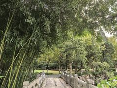 -水绘园