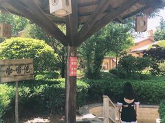 -青岛香根温泉酒店