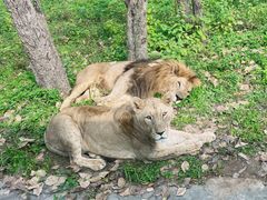 -西安秦岭野生动物园