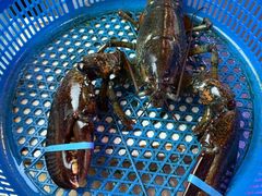 -渔民船说·北塘海鲜·天津菜·海肠捞饭(北塘古镇店)