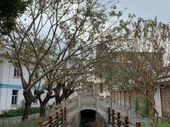 -玫瑰小镇