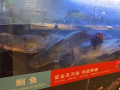 -三江源活鱼现烤(维多利摩尔城店)