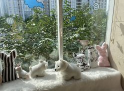 -月来悦好国际月子会所