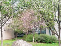 -安徽大学(磬苑校区)