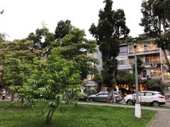 -微热山丘(台北民生公园门市店)