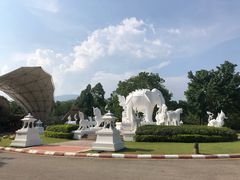 门面-清迈夜间动物园