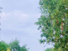 前门步行街-前门大街
