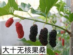 -普迪生态园