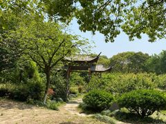 -白马涧龙池景区