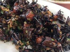 -天强农家菜馆