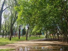 -森林公园(尖草坪区)