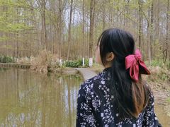 -桤木河湿地公园