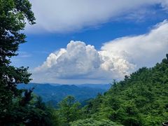 -莫干山风景区
