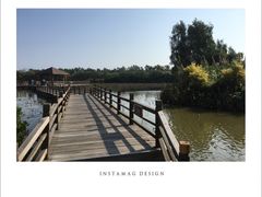 -大湾区中央湿地公园