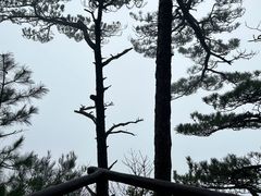 -萍乡武功山风景名胜区