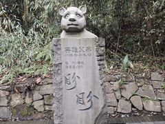 -都江堰中华大熊猫苑