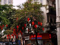 -诚志饼家·小凤饼非遗传承(中山六路店)