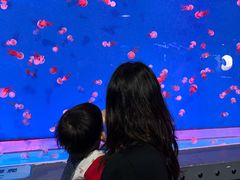 -大连圣亚海洋世界