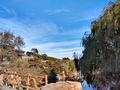 -北京西山国家森林公园