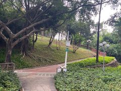 -深圳龙潭公园