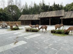 -金沙遗址博物馆
