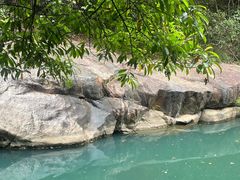 -广州白江湖森林公园