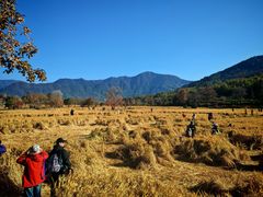 -塔川景区