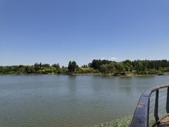 -东郊湿地公园