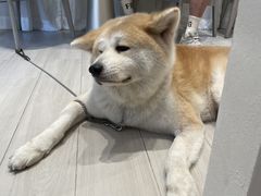 -YCHL Studios健身工作室(市二宫店)