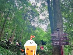 -青城山