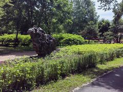 -黑龙江省森林植物园