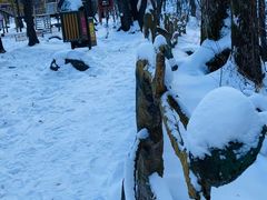 -香炉山国家森林公园