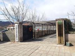 -大自然农场蔬菜草莓采摘园
