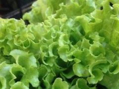 -胡悦里韩式烤肉(芝罘万达广场店)
