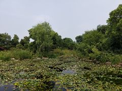 -嬉乐湾休闲旅游区