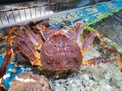 -盒马鲜生(大行宫店)