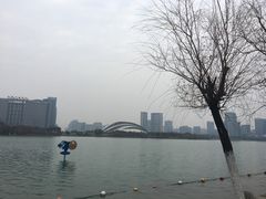 -天鹅湖体育公园