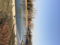 稻香湖景温泉会馆-湖景温泉