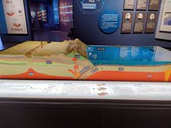 -湖南省地质博物馆