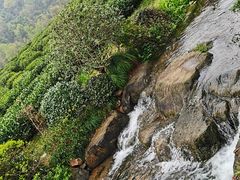 -中国茶叶博物馆(双峰馆区)