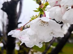 -上海山野camping·户外天幕烧烤·团建拓展营地