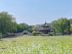 -莲池书院博物馆