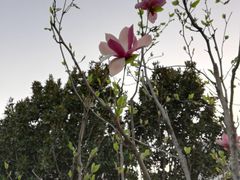 -经纬广场